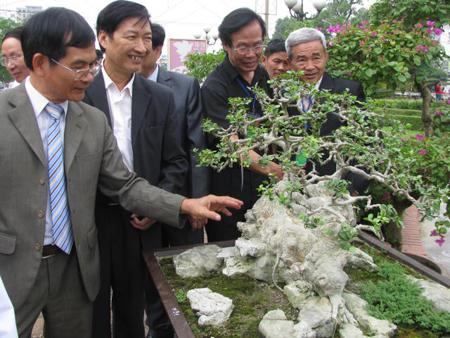 Hơn 4 000 tác phẩm được trưng bày tại Triển lãm sinh vật cảnh Thái Nguyên năm 2013